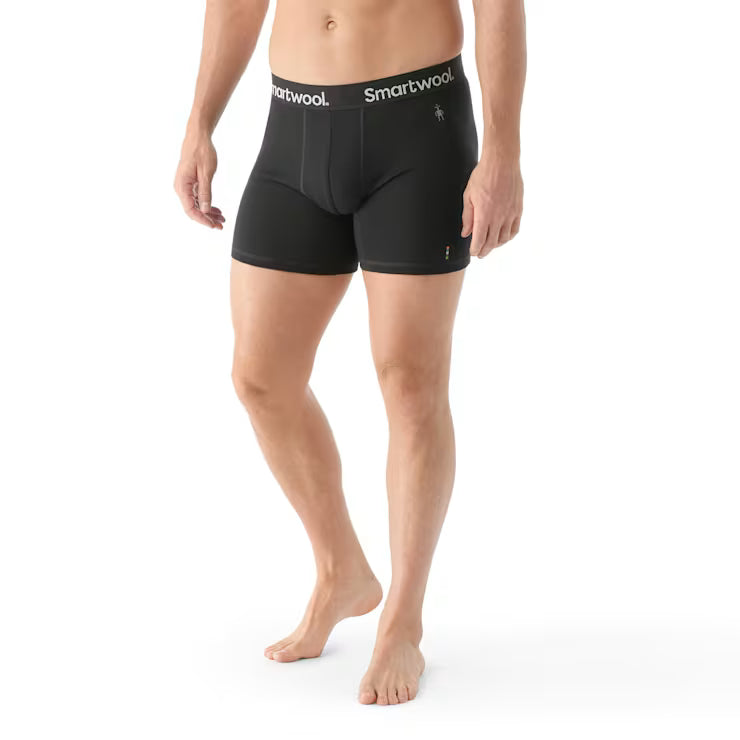 Men's Everyday Merino Boxer Brief image 0
