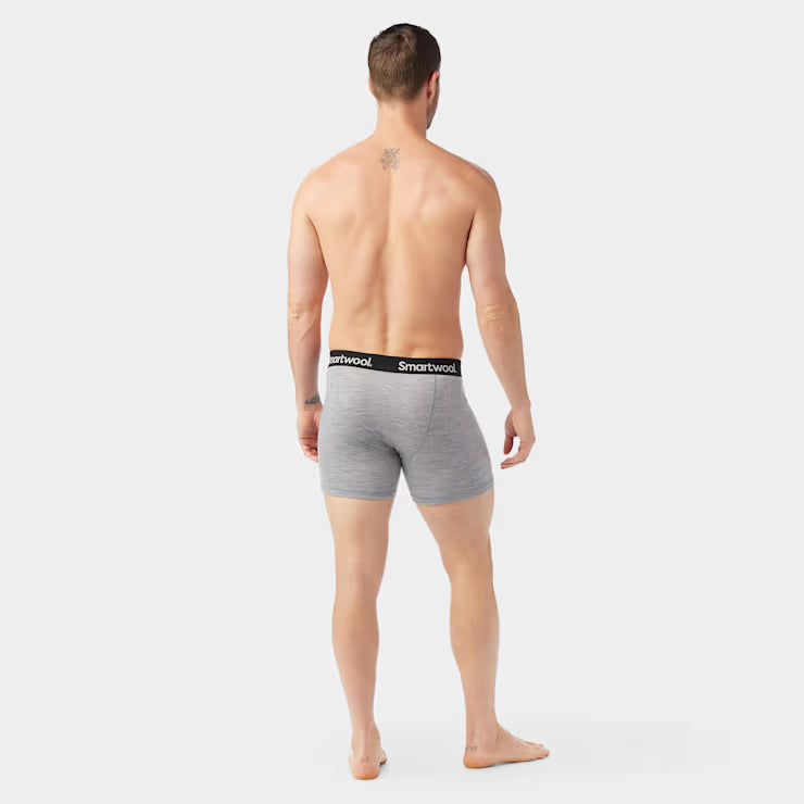 Men's Merino Boxer Brief image 1