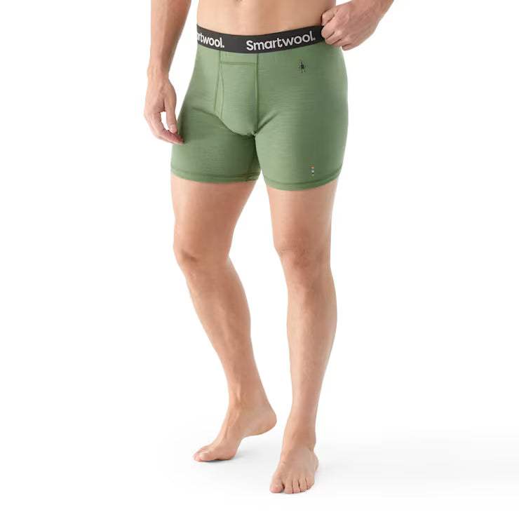 Men's Merino Boxer Brief image 0