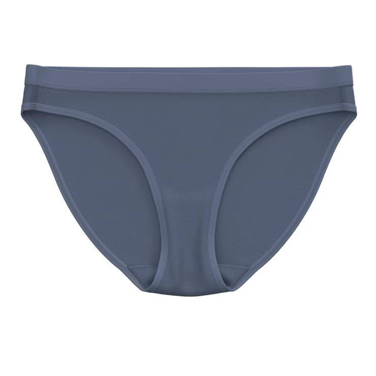 Women's Everyday Merino Bikini Boxed image 2