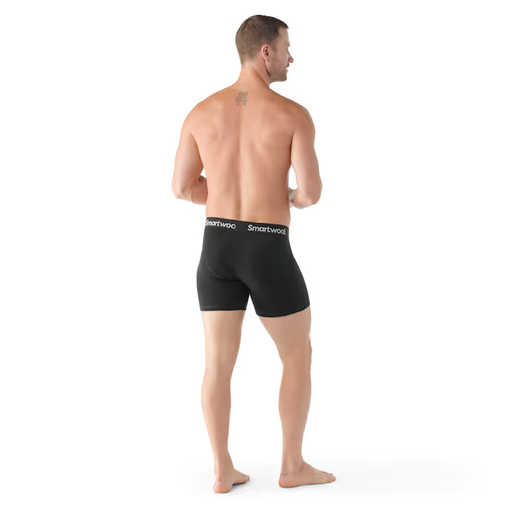 Men's Everyday Merino Boxer Brief image 1