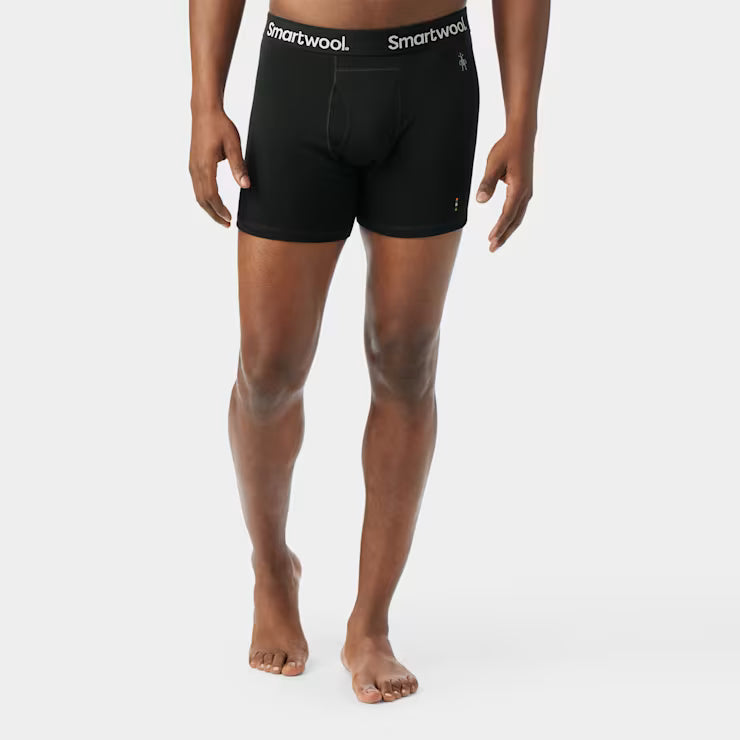 Men's Merino Boxer Brief image 0