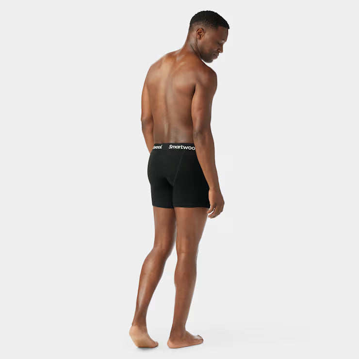 Men's Merino Boxer Brief image 1